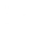 Vignette Inscriptions Loud TM Cup 2019