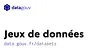Vignette Catalogue des jeux de données publics - data.gouv.fr