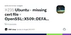 Vignette Ubuntu - missing cert file - OpenSSL::X509::DEFAULT_CERT_FILE, ENV[‘SSL_CERT_FILE’] · Issue #235 · actions/runner-images
