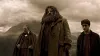 Vignette Regarder Harry Potter et le Prince de sang-mêlé | Netflix